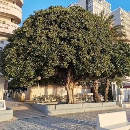 Paraiso Playa Primera Linea דירה